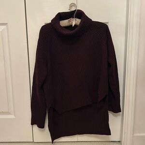 Aritzia Plum Turtleneck Sweater